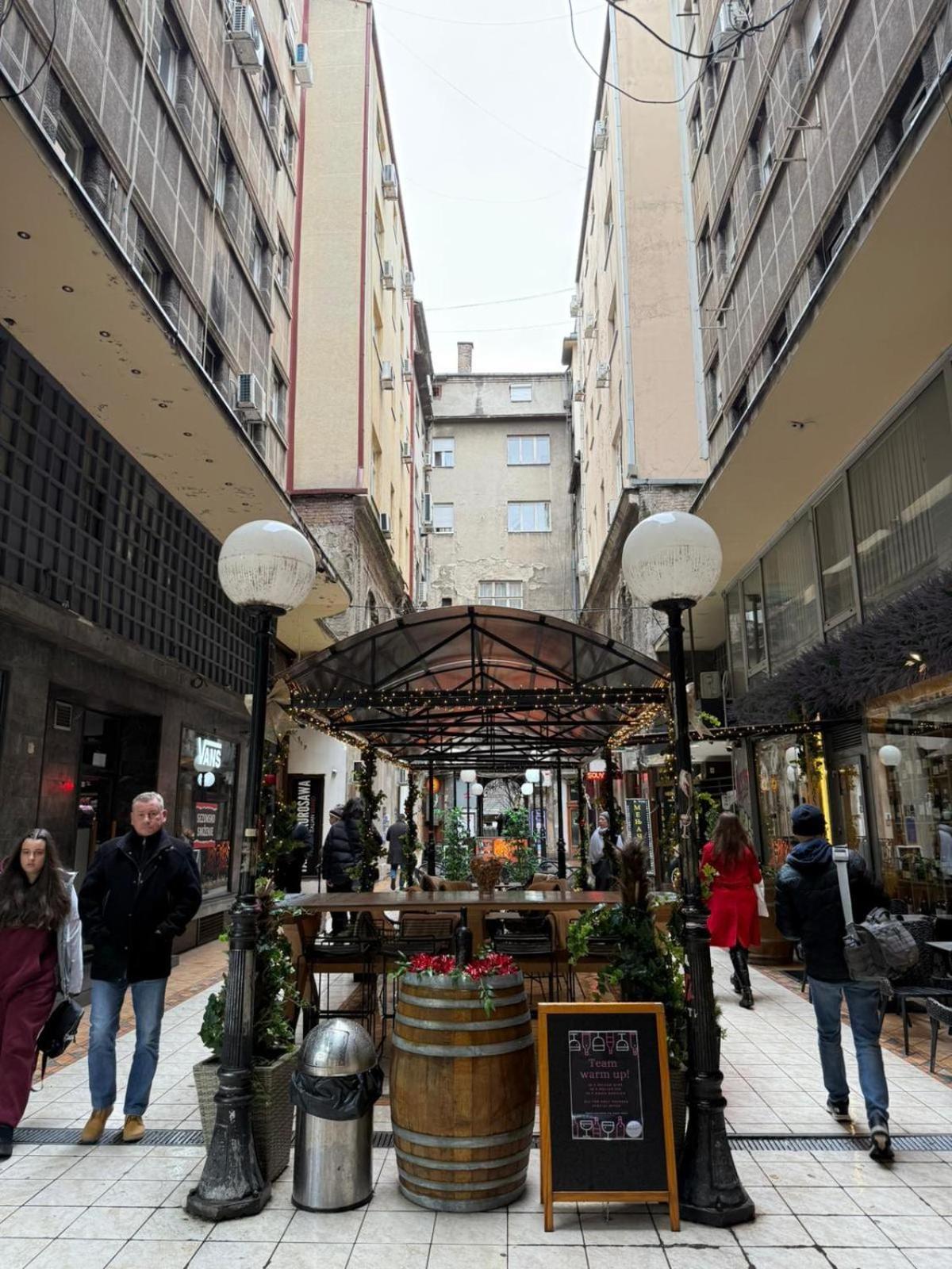 Knez Mihailova Apartment, City Center بلغراد المظهر الخارجي الصورة